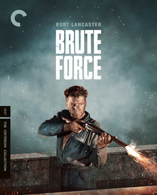 Brute Force