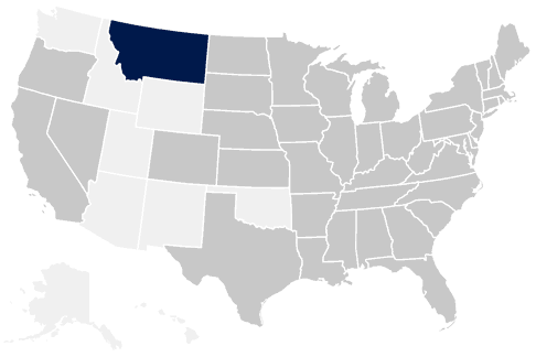 41-State Montana Map